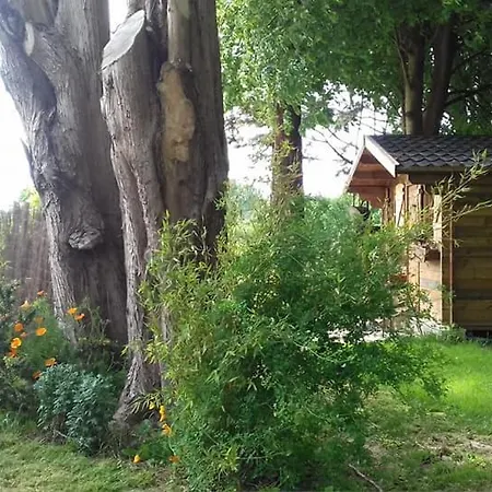 Le Chalet Du Clos Giot Saint-Vaast-la-Hougue Buitenkant foto